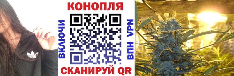 Все наркотики Сунжа Псилоцибиновые грибы Меф АМФЕТАМИН Марихуана Гашиш Кокаин