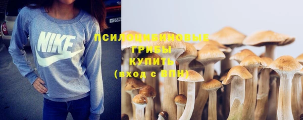 трава Козельск