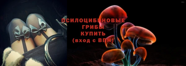 бошки Кодинск