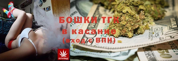 трава Козельск