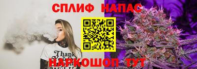 a pvp Дубна