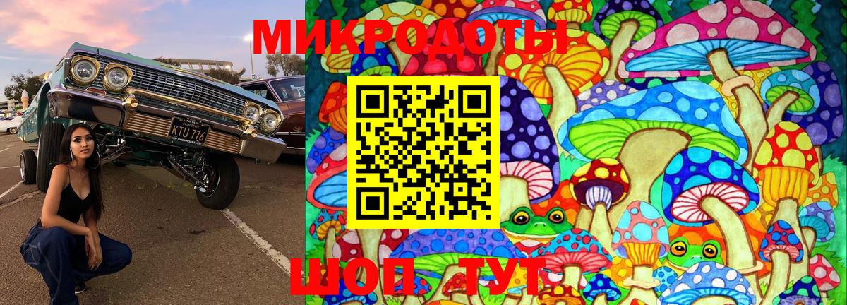 Галлюциногенные грибы мицелий  Вход с VPN  купить наркоту  Псилоцибиновые грибы ЛСД  Сунжа 
