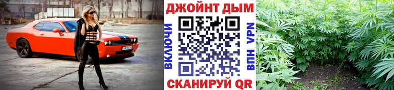 наркота  Сунжа  Бошки марихуана MAZAR 